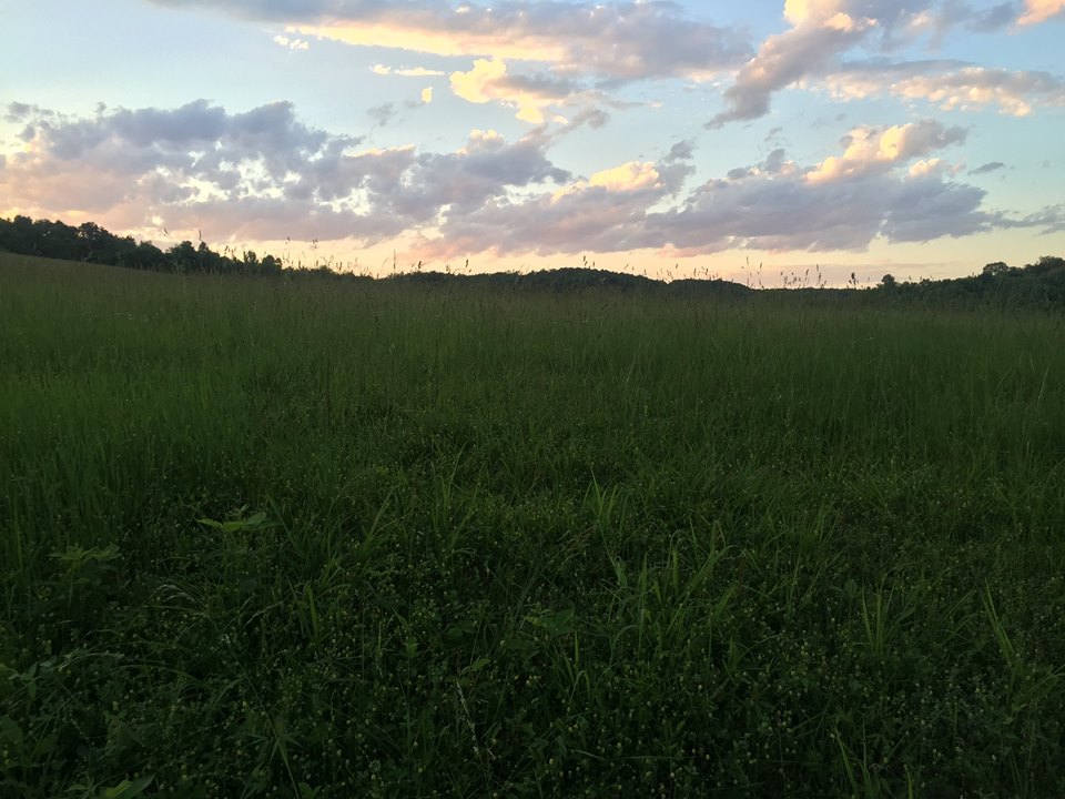 building a fence | Clover Meadows Beef Grass Fed Beef St. Louis Missouri | Free Delivery