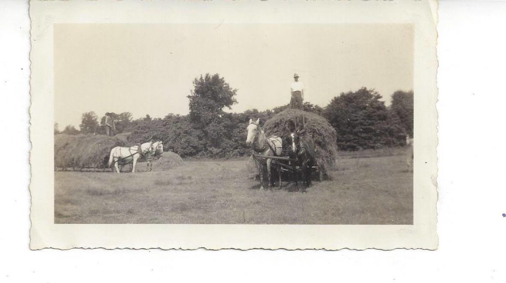 Making Hay Bales | Clover Meadows Beef | www.clovermeadowsbeef.com