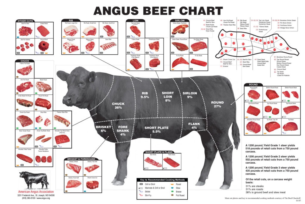 Beef Cut Butcher Chart with Cuts of Beef