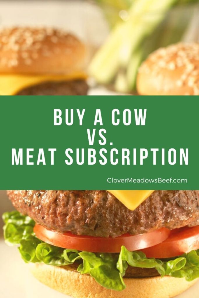 Buying a Cow vs Meat Subscription delivery service - Clover Meadows Beef Grass Fed Beef