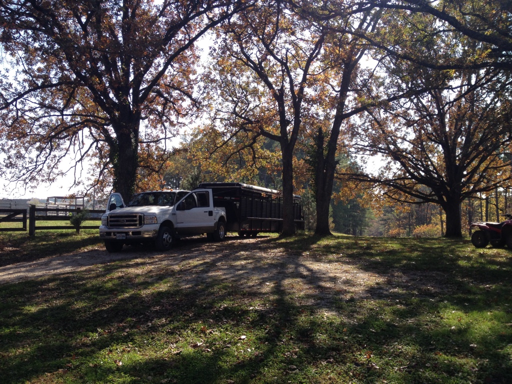 Getting the trailer ready before the sale so that we can bring a bull home. 