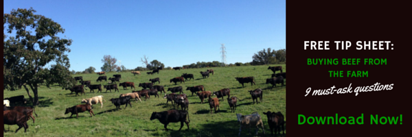 beef buying guide graphic (2)