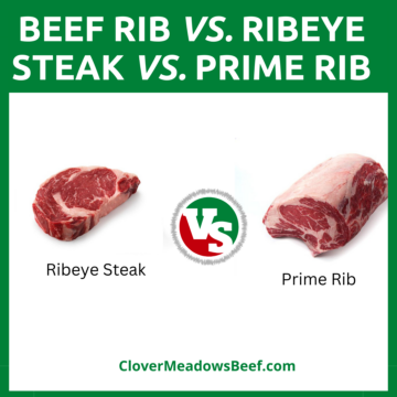 Beef-Rib-vs-Ribeye-Steak-vs-Prime-Rib-difference-cost-texture-cooking-method