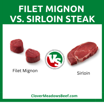 Filet-Mignon-vs-Sirloin-Steak-Differences-Pros-Cons-Affordable-Texture-Taste-Cooking